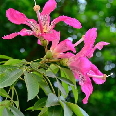 挂江湖无限道具版下载